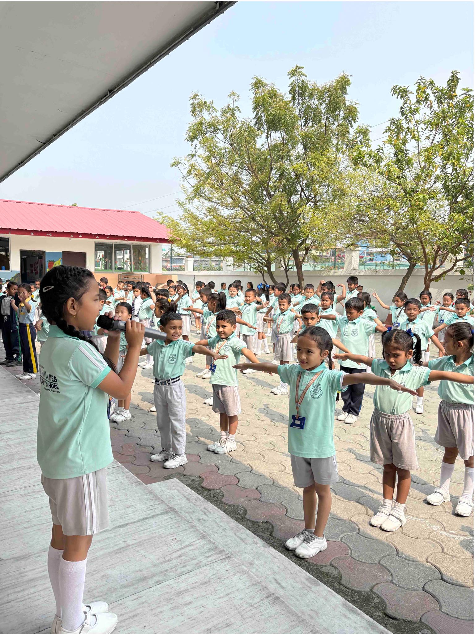 Pre-Primary Section 8